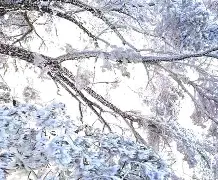 INP剱d6aA旙+Z?淞阼?軧nAcP莄???篴3-?a腂K嚫? 